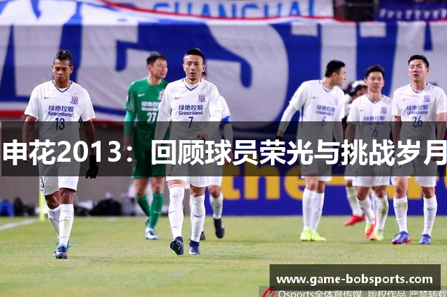 申花2013：回顾球员荣光与挑战岁月
