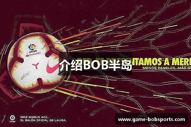 介绍BOB半岛
